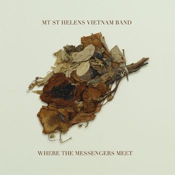Mt. St. Helens Vietnam Band - Where The Messengers Meet