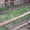 cu chi 023