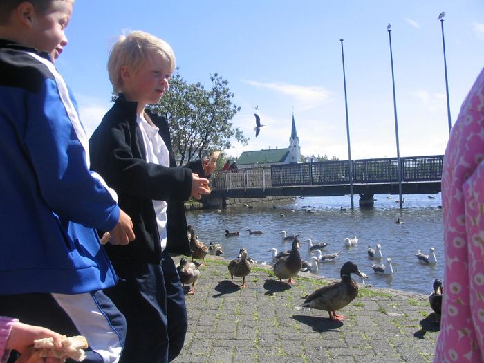 Atli og Viljar kasta andabraui