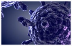 trained immune system may help fight cancer.jpg