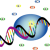 miniseq princip.gif