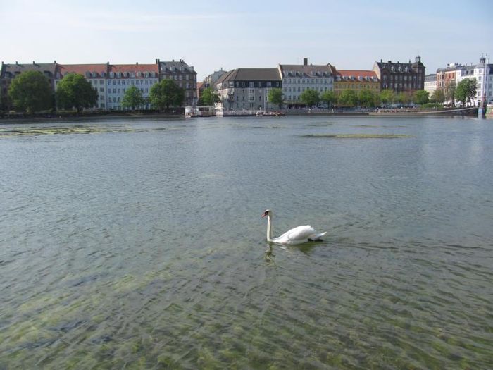 Copenhagen 014