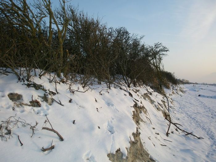 Strandgrur