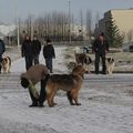 IMG 7181