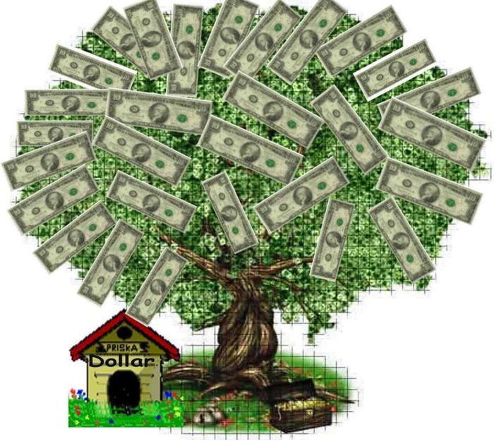 money tree5.jpg