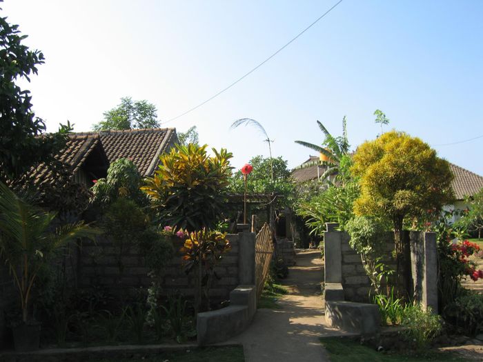 picture 120.jpg