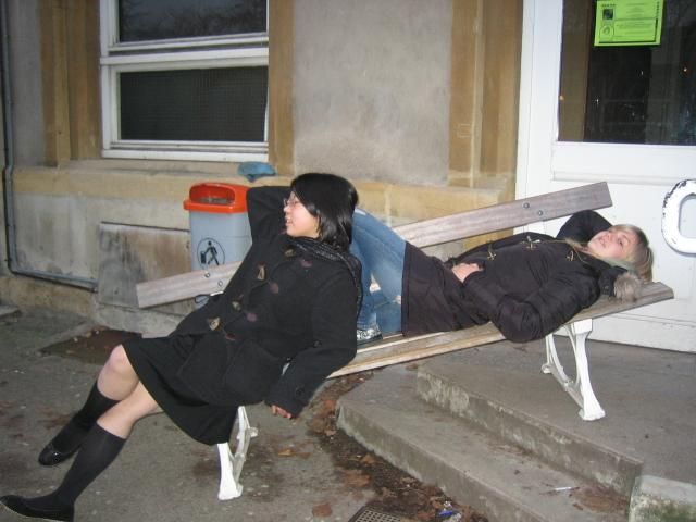 img 1077.jpg