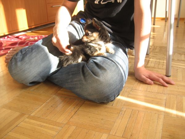 IMG 4433