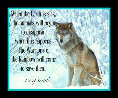 Rainbow Warriors!