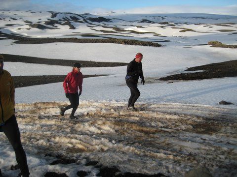 IMG 0861