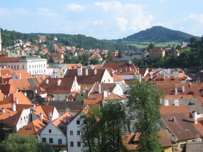 img 1300.jpg