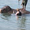 Chitwan National Park 020
