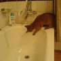 Curious