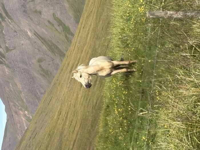 img 0754 1455629