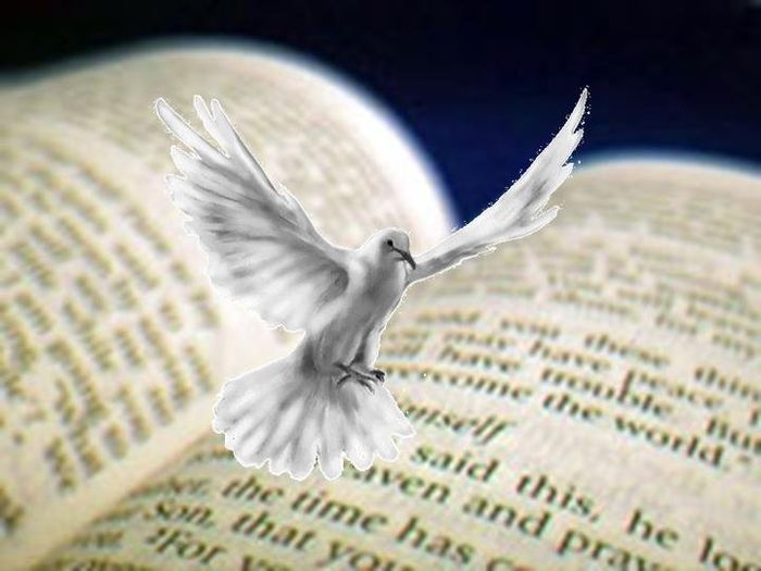 bible spirit dove.jpg