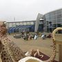Kattegat museum