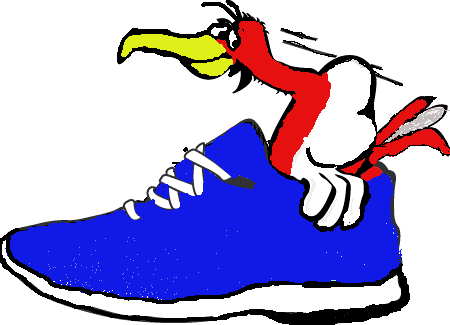 albatros js 2005 822516.gif