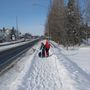 IMG 7487