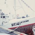 Æskan SF 141   EX 140 (Medium)