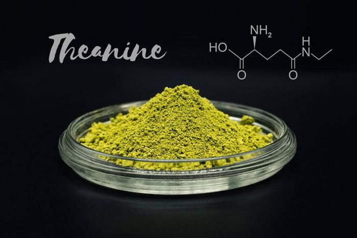 Theanine-amino-acid 1024x
