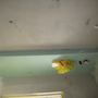 IMG 0057