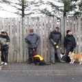 IMG 7781