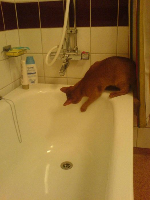Curious