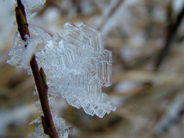 Frostkristallar