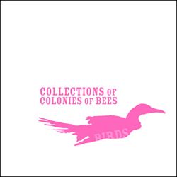 Collections Of Colonies Of Bees - Birds