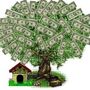 money tree5