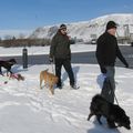 IMG 7507