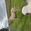 img 0678