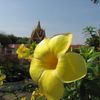 Phnom Penh 055