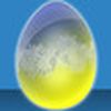 egg img11