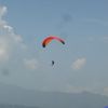 Paragliding Steffi 298