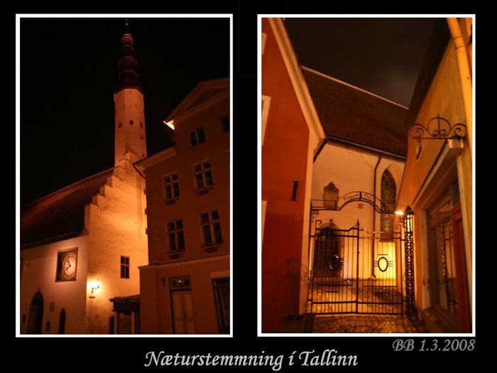 Nturstemmning  Tallinn -  BB 1.3.2008 (6)