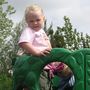 img 1517.jpg