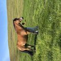 img 0187