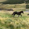img 0885