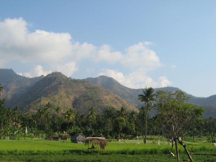 Fjollin i Bali