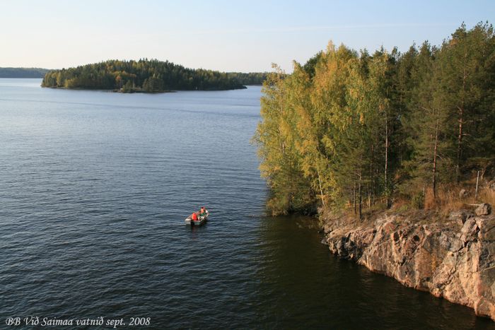 Haust vi Saimaa vatni 2008 (8)