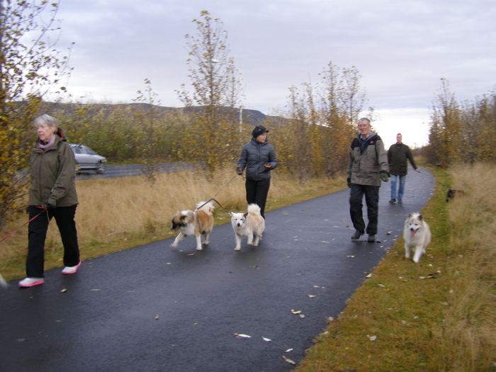Selfoss 14 okt 2012 003