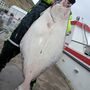 32 kg halibut II