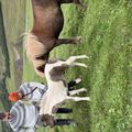 img 0404 1455175