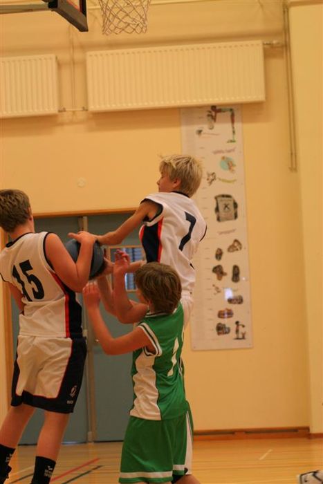 IMG 4863 (Large)
