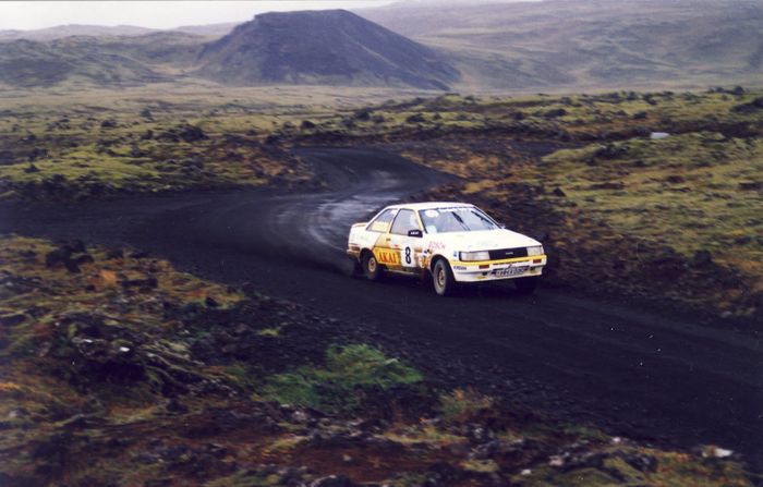 GSM Rally Rvk 1996 Lyngdalsheii