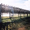 Skreið Stöddinn 2000