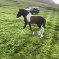 img 0030 1454275