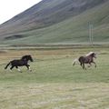 img 8868