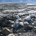 IMG 0055